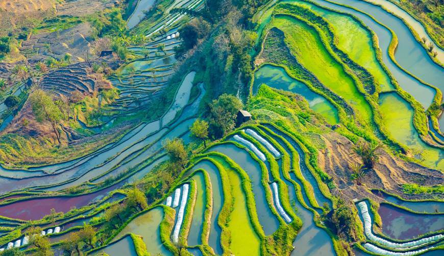 宝妈必备神器：新市区产品视频拍摄轻松育儿好帮手